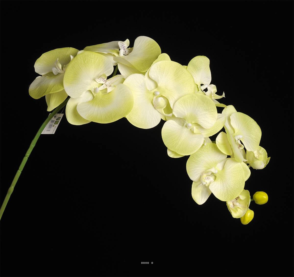 Artificielles - Orchidée Lisa artificielle Vert été H98cm 8 fleurons 4 boutons qualité - couleur: Vert été - Image 2