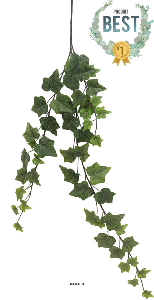 Artificielles - Lierre artificiel en chutes, 3 ramures, L 80 cm, froasted - BEST - couleur: Vert-jaune - Image 1