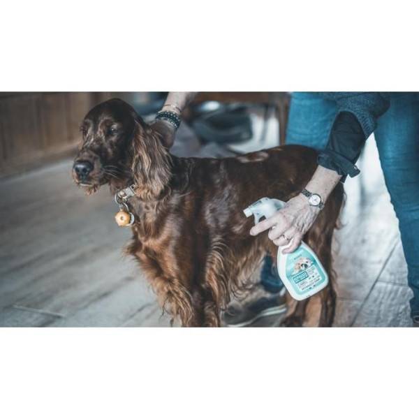 VETOCANIS Spray anti-puces, anti-tiques et anti-moustiques - Pour Chien - 500 ml - Image 5