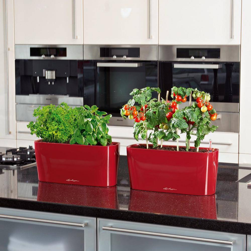Lechuza - Pot de table Delta 20 - kit complet, rouge scarlet brillant 40 cm Lechuza - Image 3