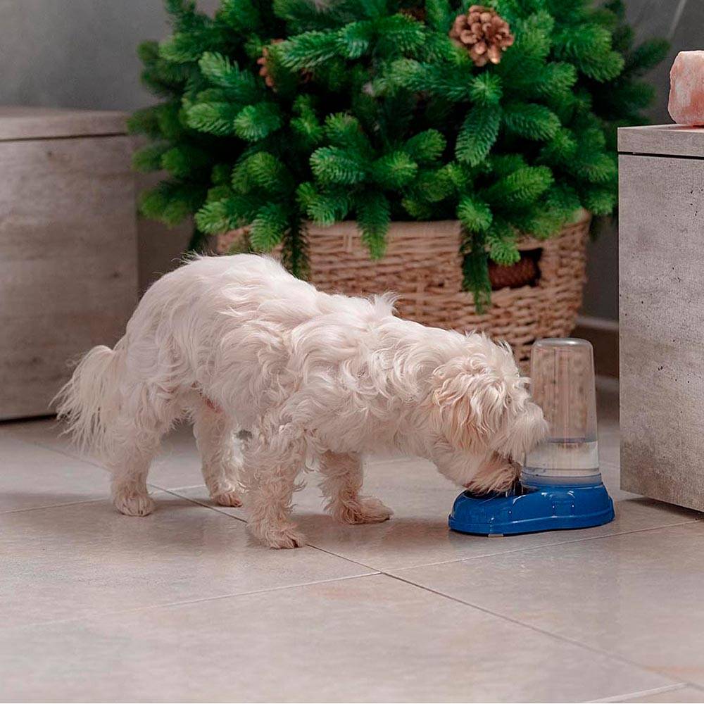 Ferplast - Ferplast Distributeur de nourriture ou d'eau pour chiens et chats AZIMUT 600, Distributeur de nourriture sèche ou eau 0,6 litre, fond antidérapant, - Image 6