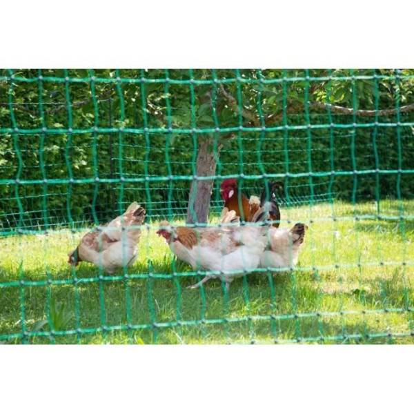 KERBL - Filet pour les poules 25 m - 106 cm - double pointe - vert - non électrique - Image 3