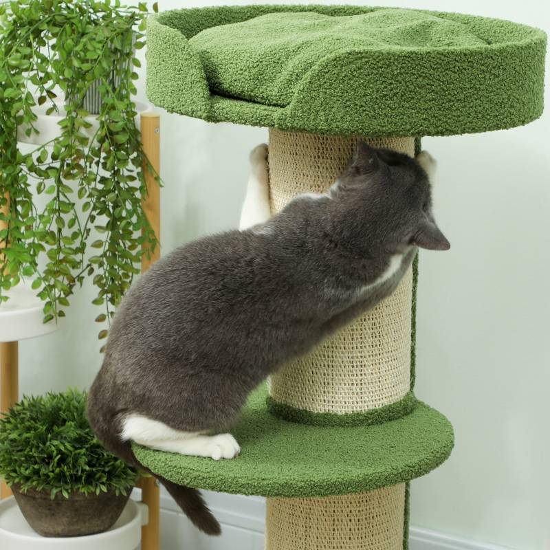 Arbre à chat multi-niveaux sisal peluche pour chat intérieur griffoir repos 91cm vert - ComfortXL Outdoor Living - Image 6