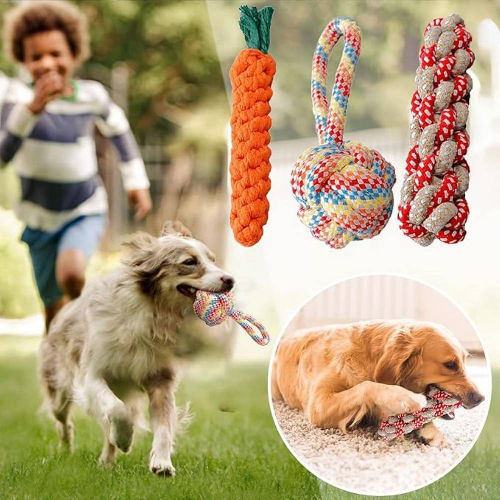 DtopbuyAge - Lot 3 Jouets Corde Durables Pour Chiens Orange - Image 2