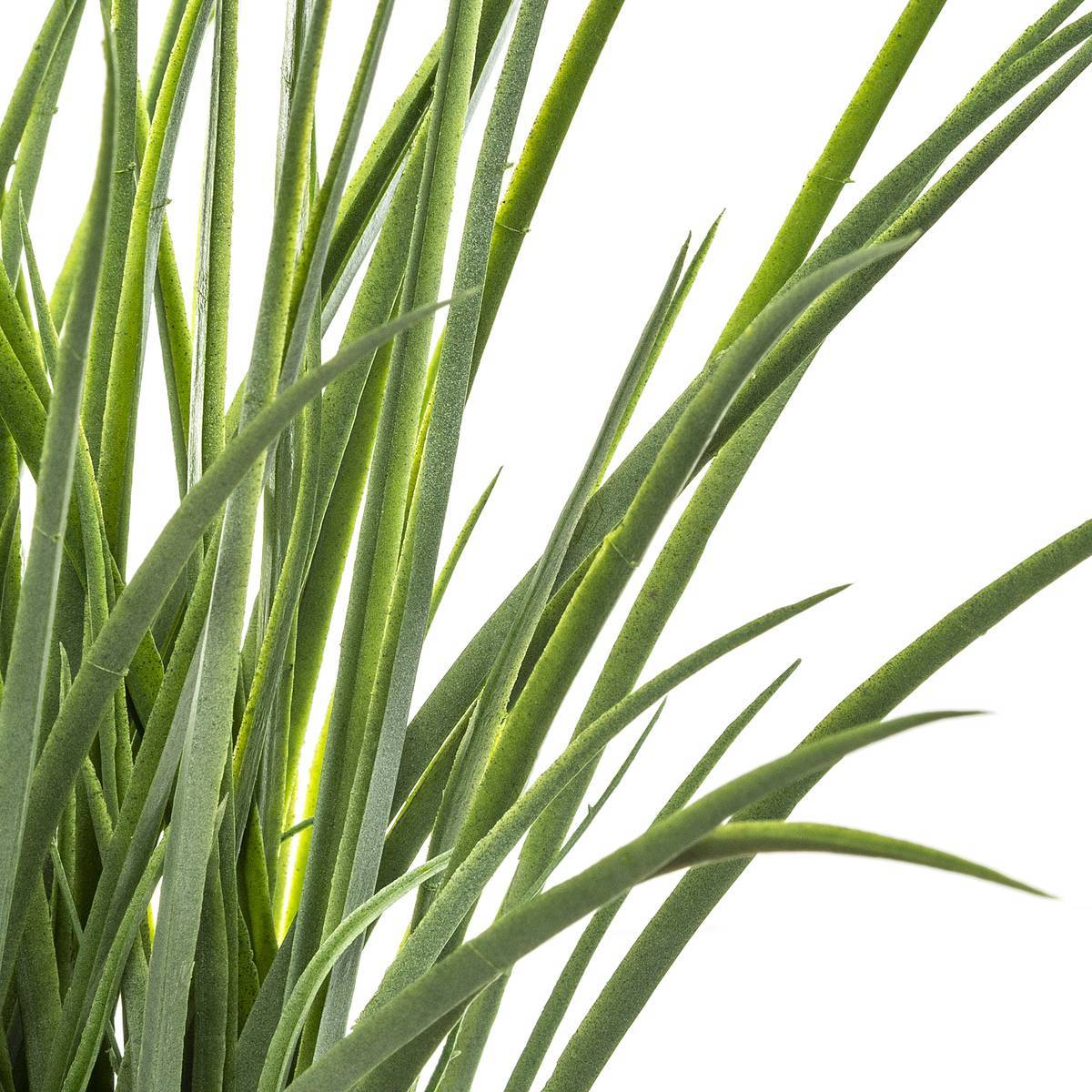 Atmosphera - Herbe artificielle H49cm - Atmosphera Créateur d'intérieur - Image 2