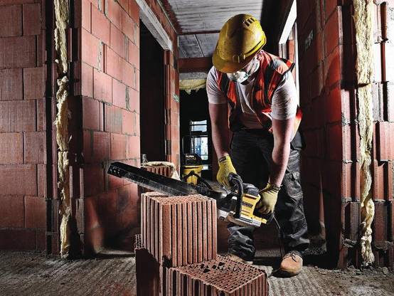Lame Alligator pour Brique forte densité - DEWALT - DT2976 (pour DWE398) - Image 2