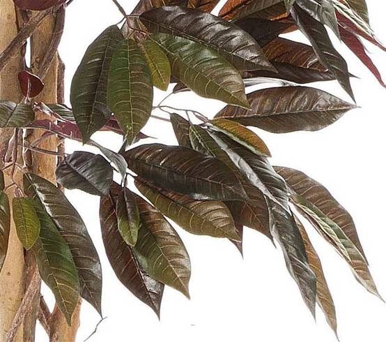 Capensia arbre artificiel H210cm 1088 feuilles Superbe et dense en pot - dimhaut: H 210 cm - couleur: Vert-rouge - Image 3