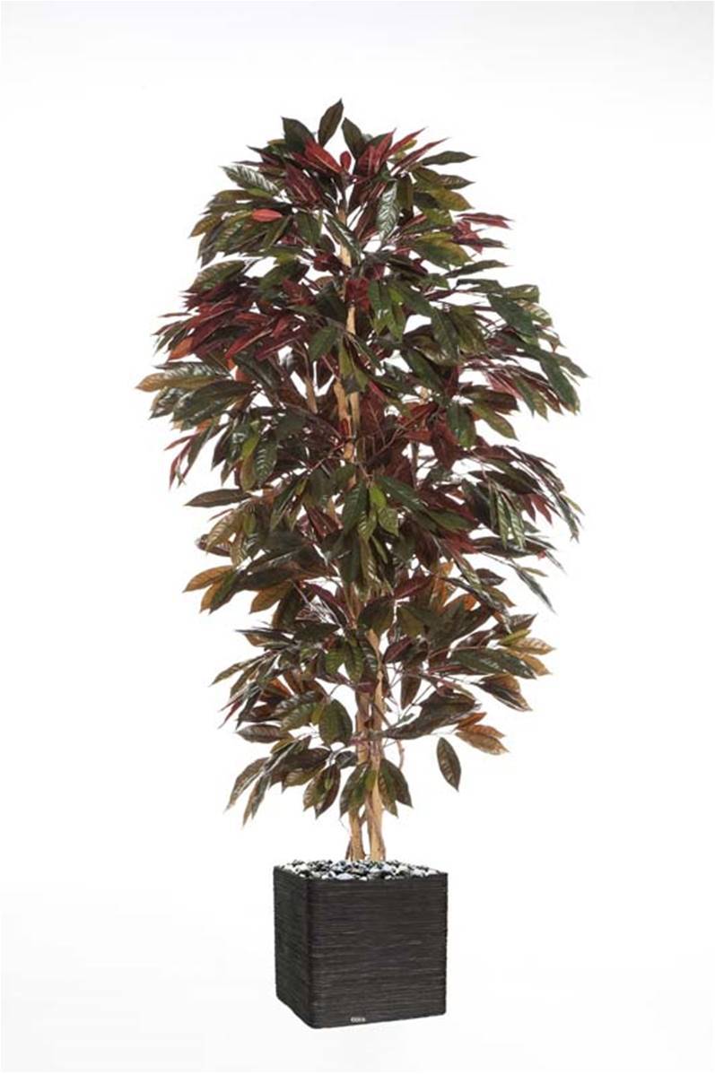 Capensia arbre artificiel H210cm 1088 feuilles Superbe et dense en pot - dimhaut: H 210 cm - couleur: Vert-rouge - Image 2