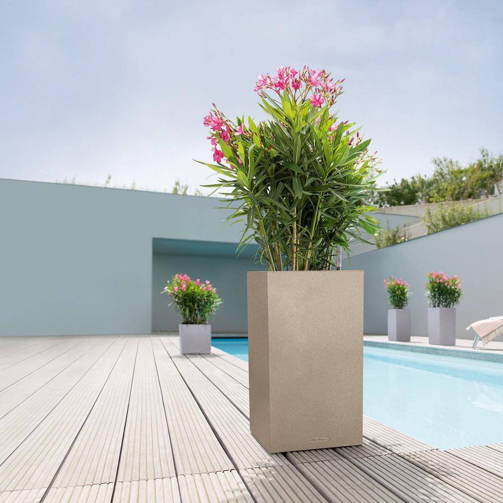 Lechuza - Pot Canto Color 56, beige sable 3 L 56 cm Lechuza - Image 3