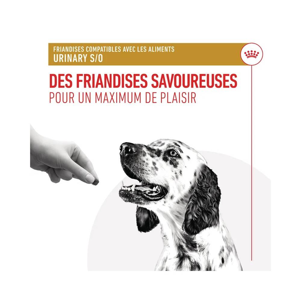 Royal Canin - Royal Canin Chien Urinary Friandises 230 g - Image 1