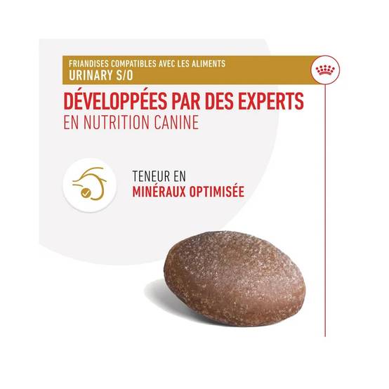 Royal Canin - Royal Canin Chien Urinary Friandises 230 g - Image 2