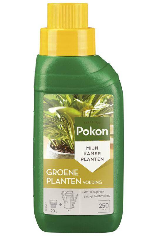 Engrais plantes vertes - 250 ml - Image 1