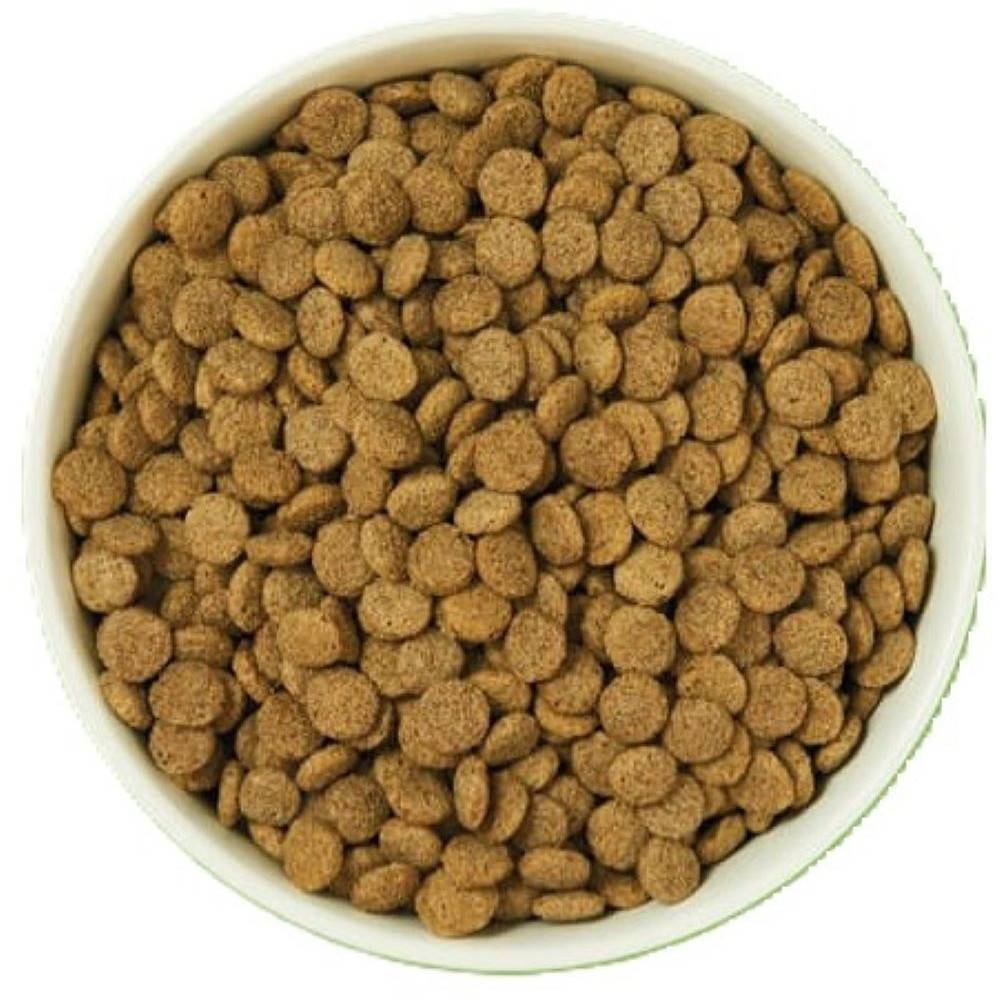 Lily's Kitchen - Croquettes  2.5 kg festin de saumon  pour chien Lily's Kitchen - Image 2