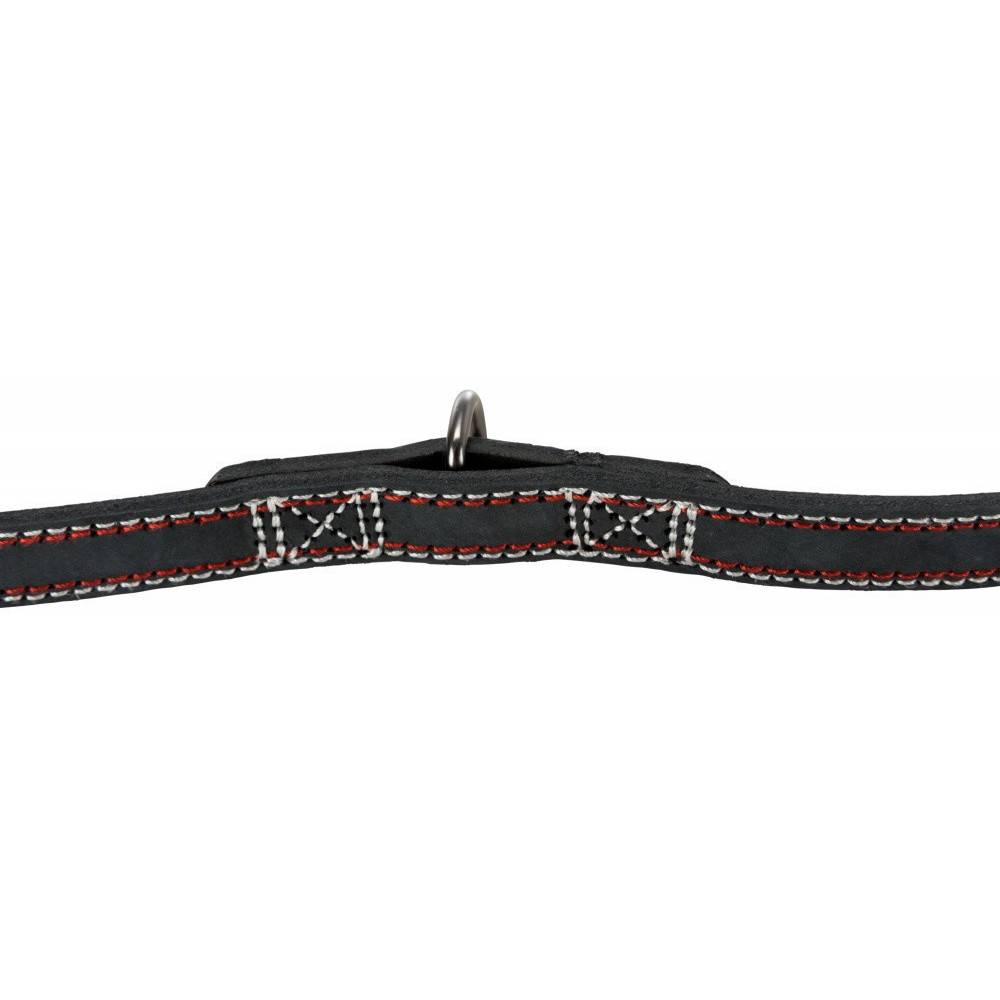 Trixie - Trixie - Laisse 20 mm x2 M en cuir. réglable. anthracite pour chien - Image 3