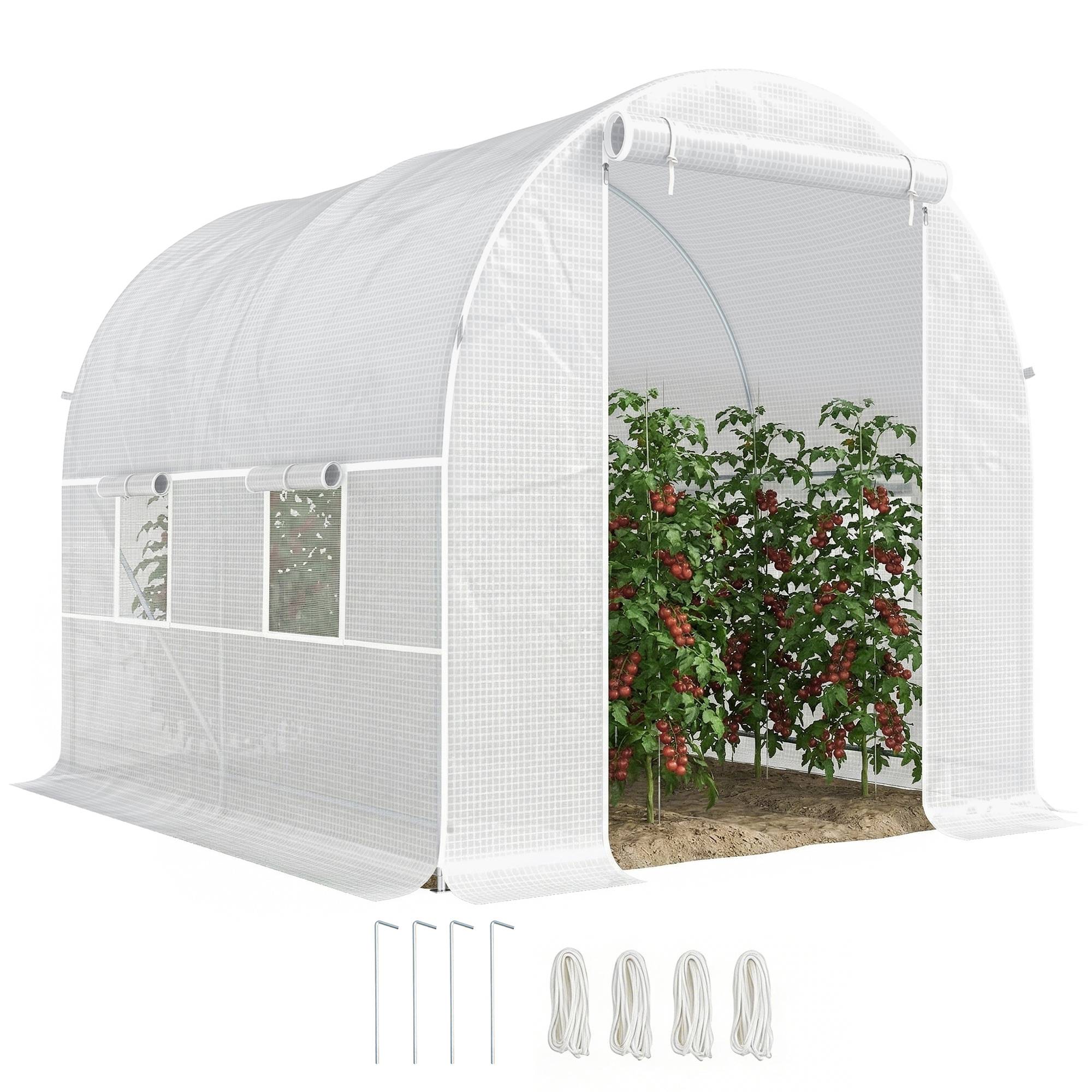 Sans Marque - Serre tunnel de jardin 5m², serre de jardin tunnel avec porte et 4 fenêtres, bâche PE 140 g/m² 245 x 200 x 200 cm blanc - Image 1
