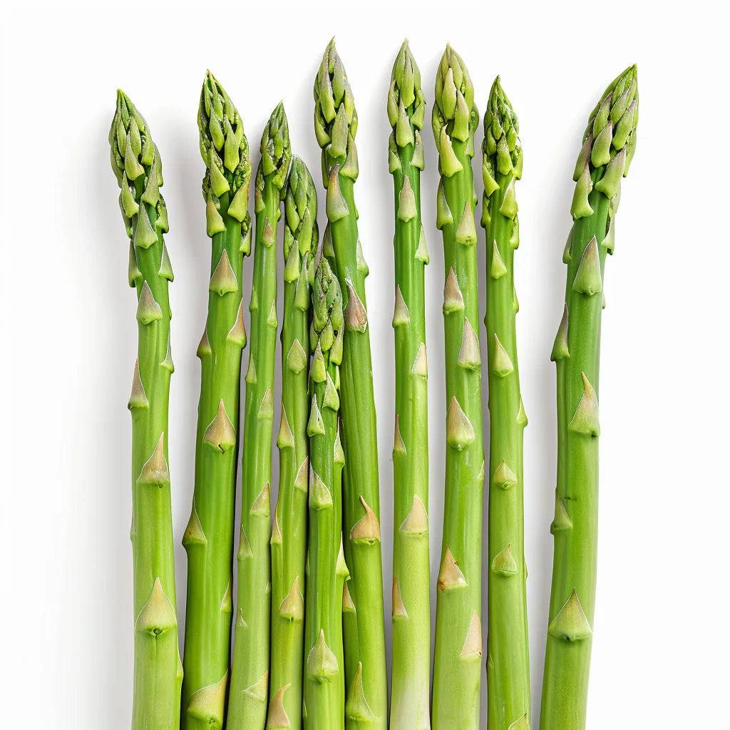 50 Graines d'Asperge Verte - SemiSauvage Permaculture - Image 1