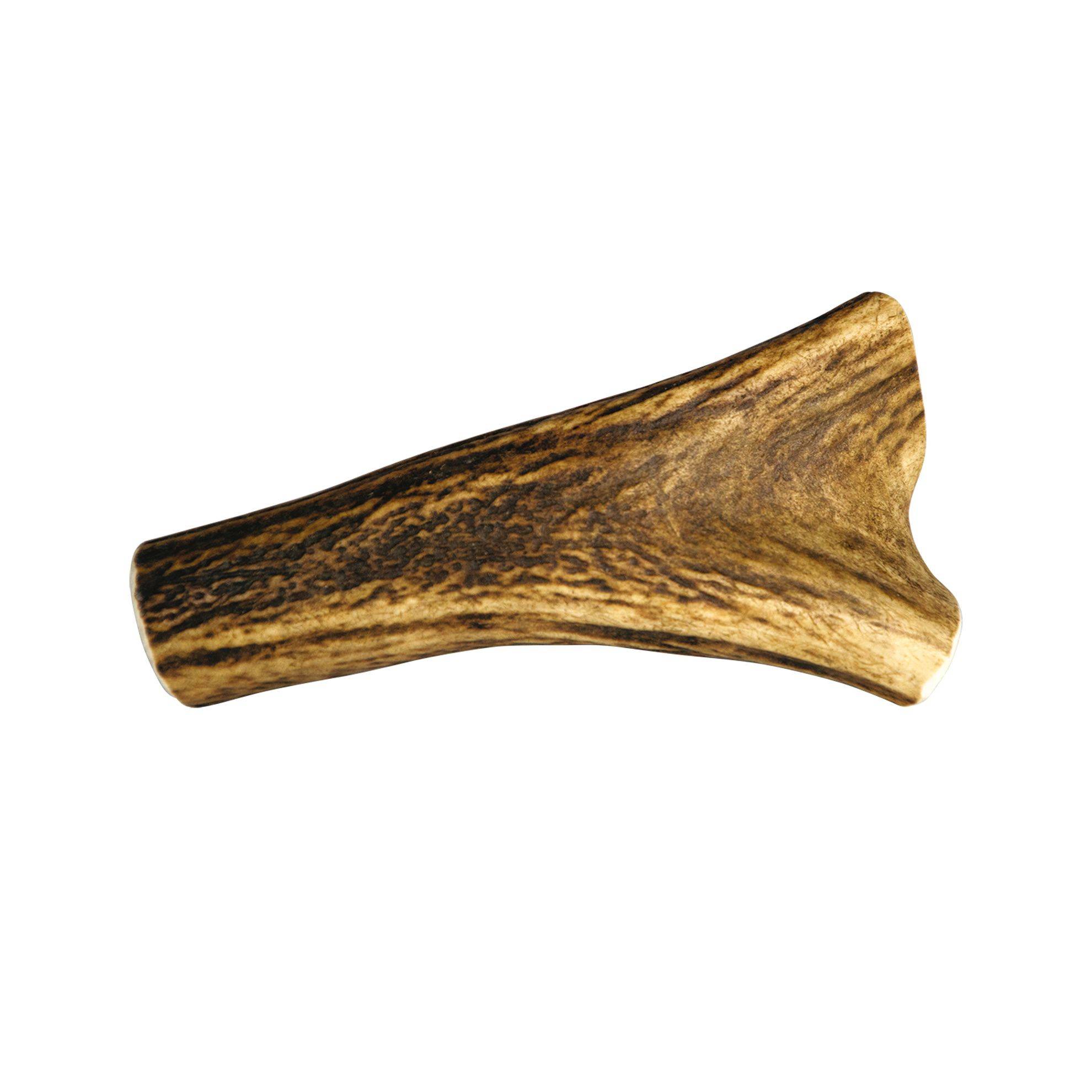 Bois de cerf entier Taille : XS DOOGY