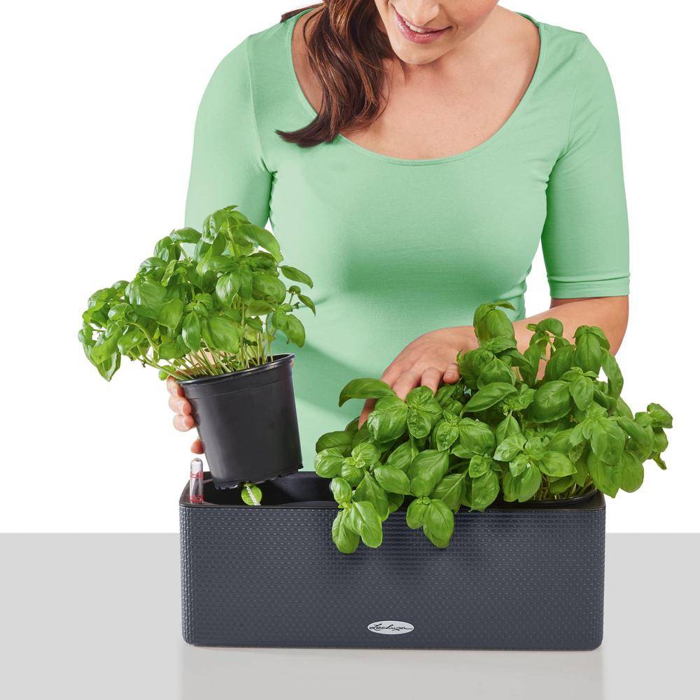 Lechuza - Pot Balconissima Color, gris ardoise alimentation par mèche 40 cm Lechuza - Image 8