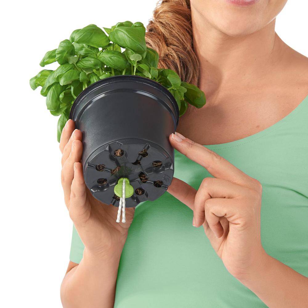 Lechuza - Pot Balconissima Color, gris ardoise alimentation par mèche 40 cm Lechuza - Image 7