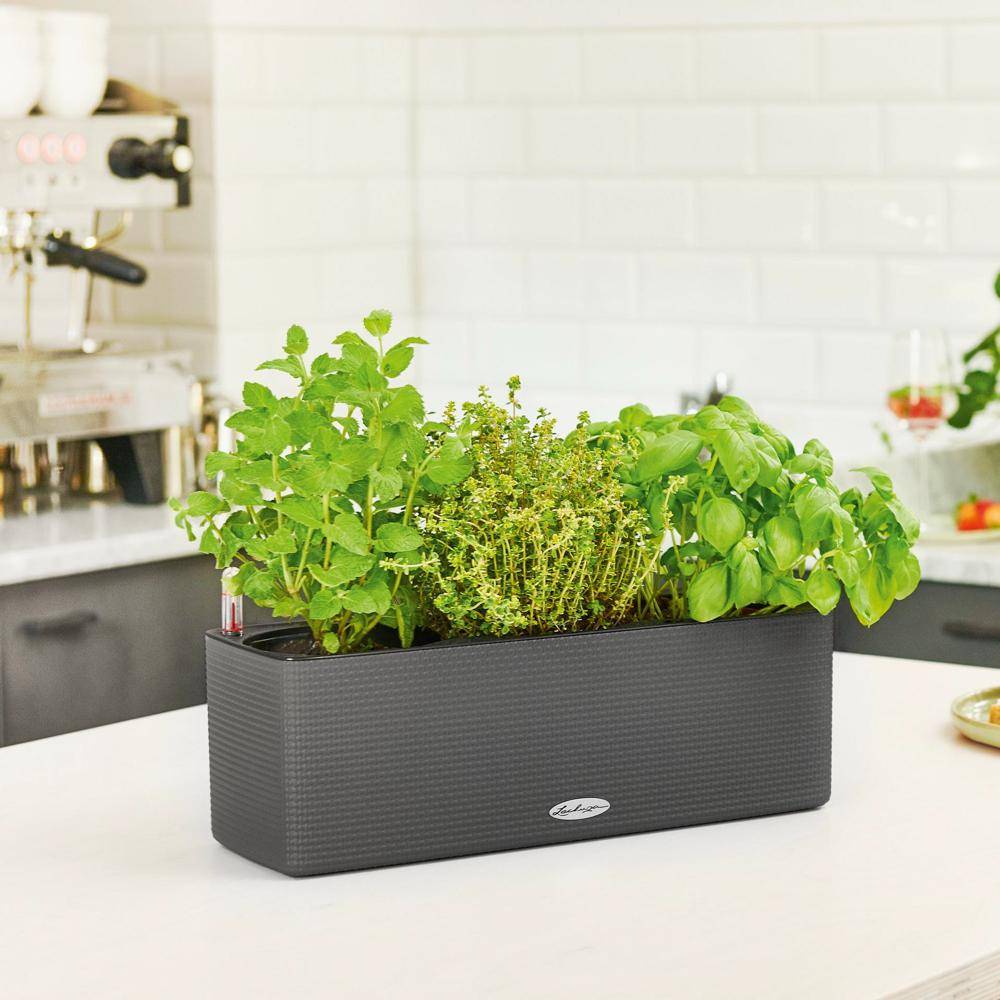 Lechuza - Pot Balconissima Color, gris ardoise alimentation par mèche 40 cm Lechuza - Image 6