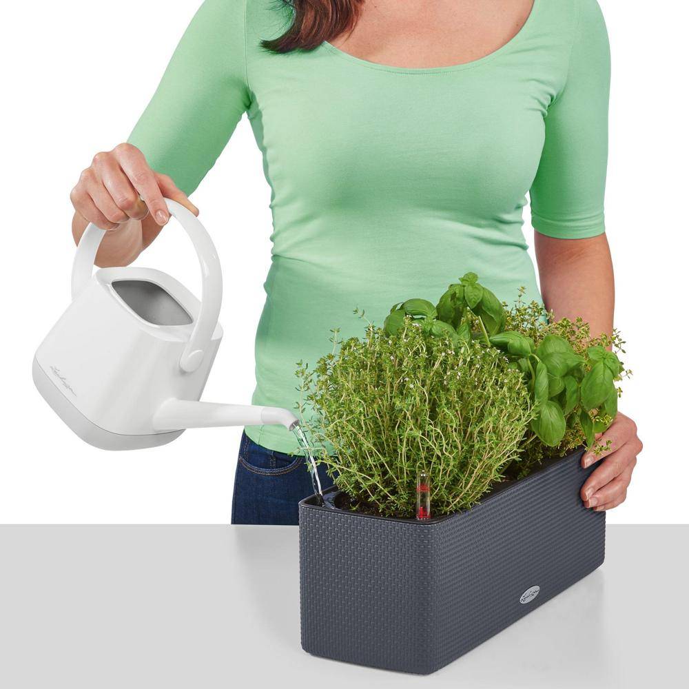 Lechuza - Pot Balconissima Color, gris ardoise alimentation par mèche 40 cm Lechuza - Image 9