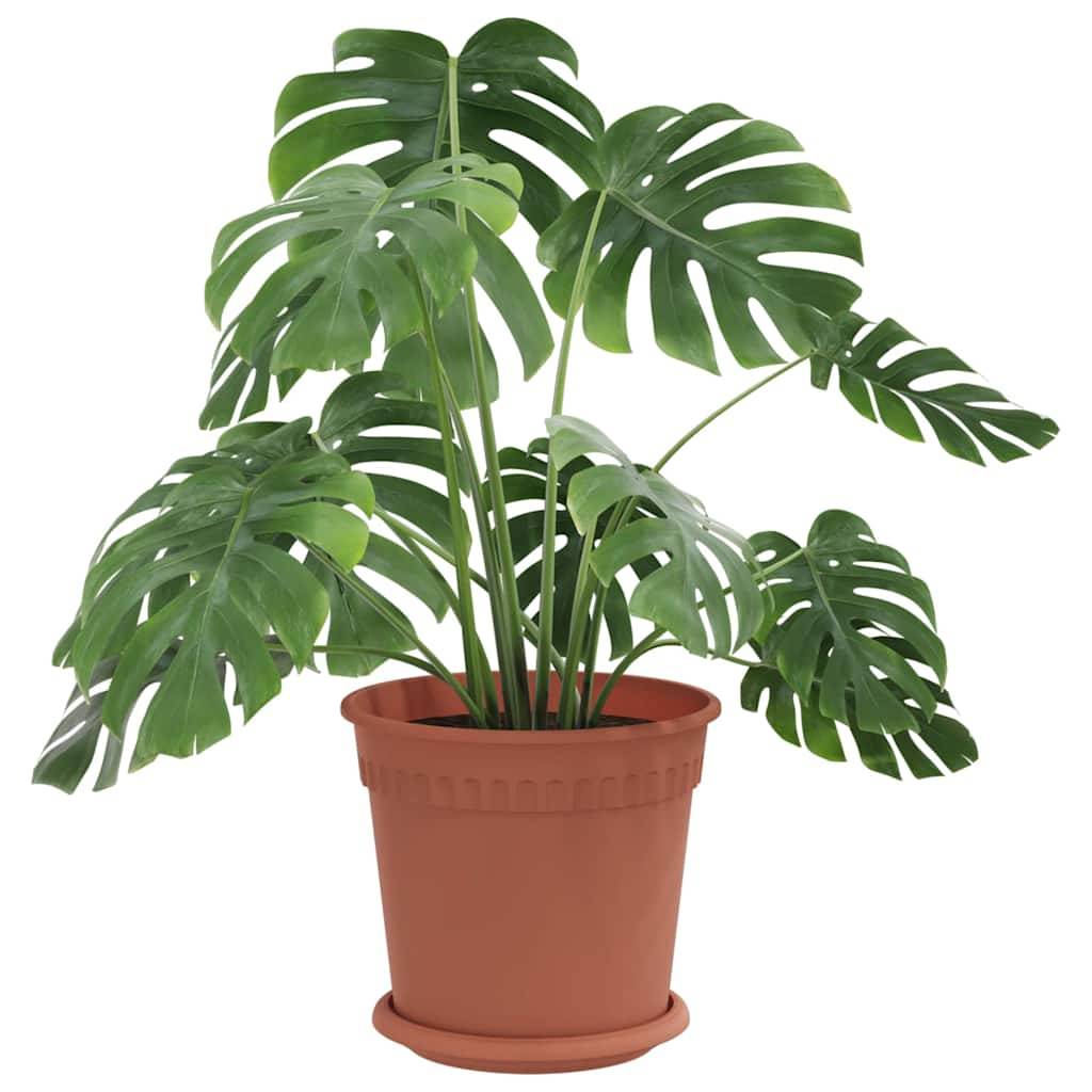 Vidaxl - Pots de plantes 6 pc Rouge brique Plastique vidaXL 3403257 - Image 4