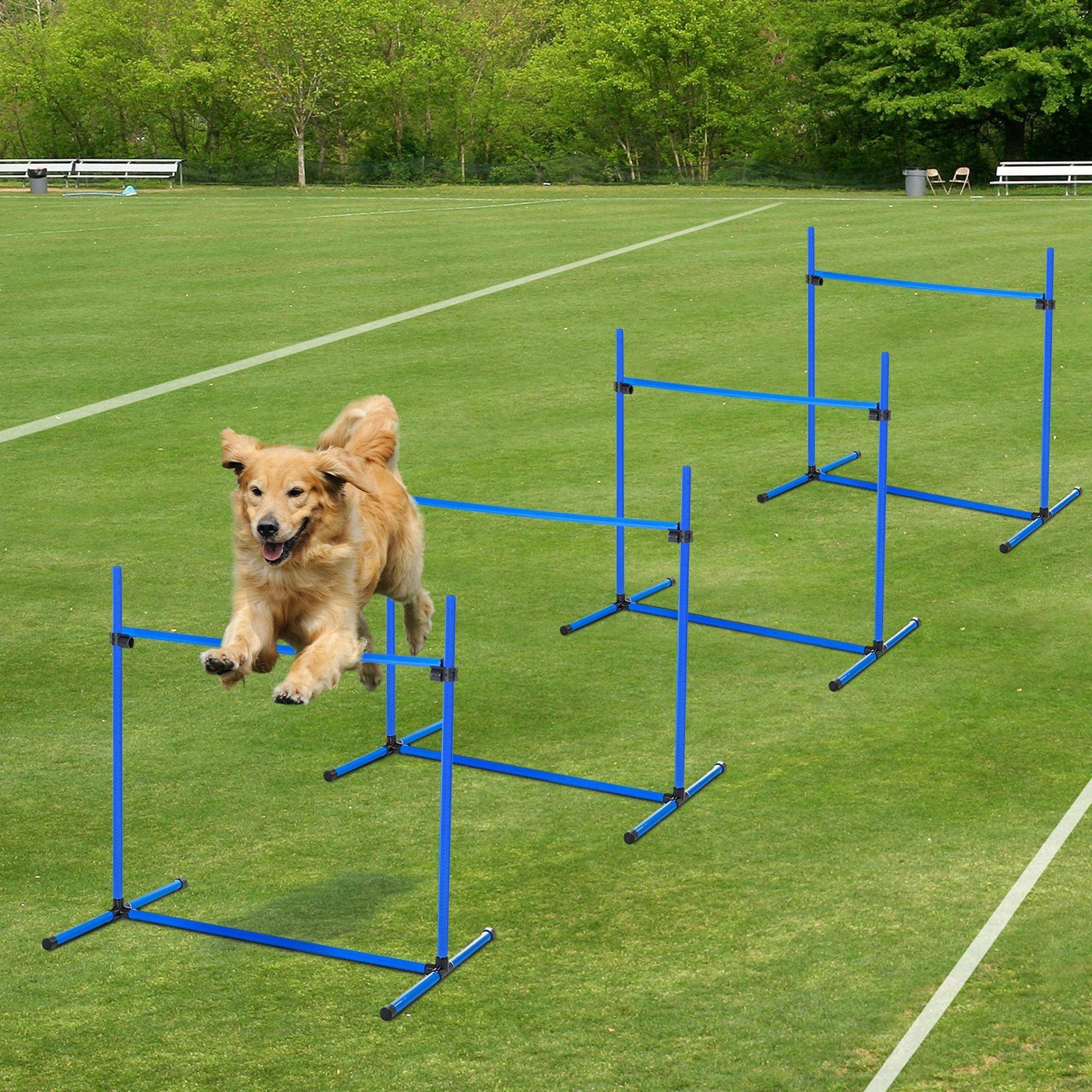 Obstacles d'agilité pour chien plastiques bleu 99 x 65 x 94 cm - PANGIVO - Image 4