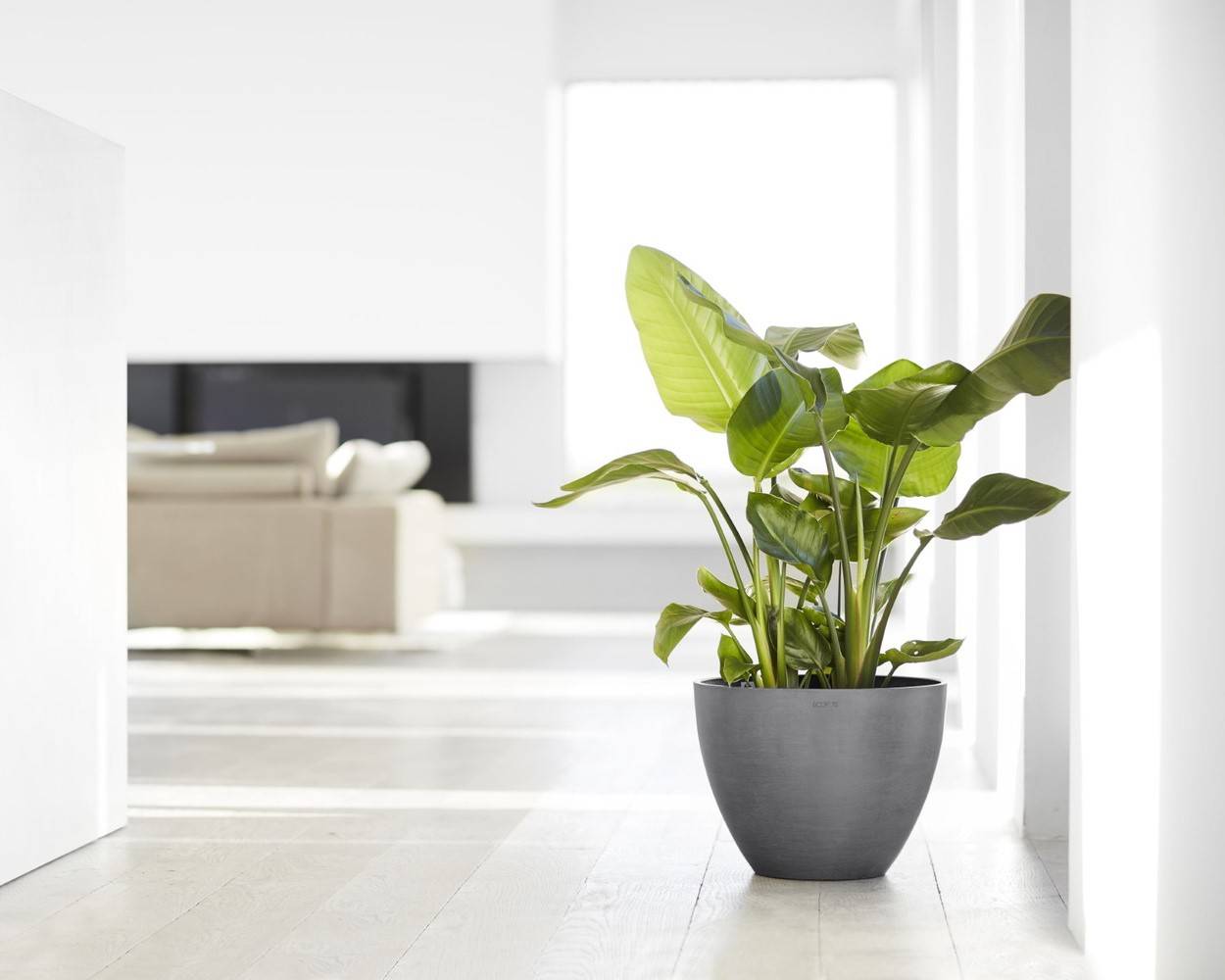 Ecopots - Pot Rond Antwerp 40 Gris - Ø 40 x H. 30 cm - 25 L ECOPOTS - Image 3