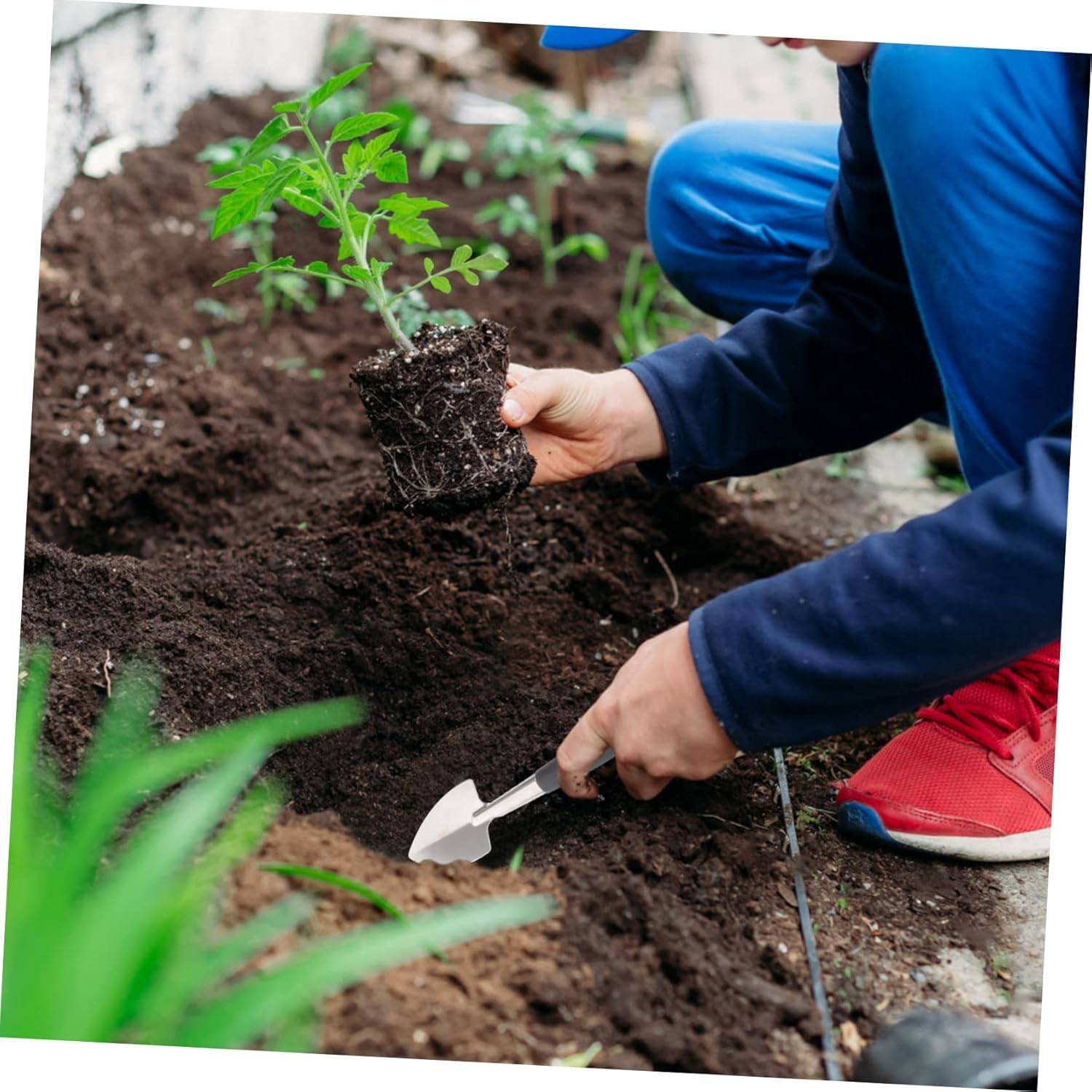 Kit de 3 Outils de Jardin Compact en Acier Inoxydable pour Détendre le Sol - Truelles Ergonomiques - IntiMeg - Image 2