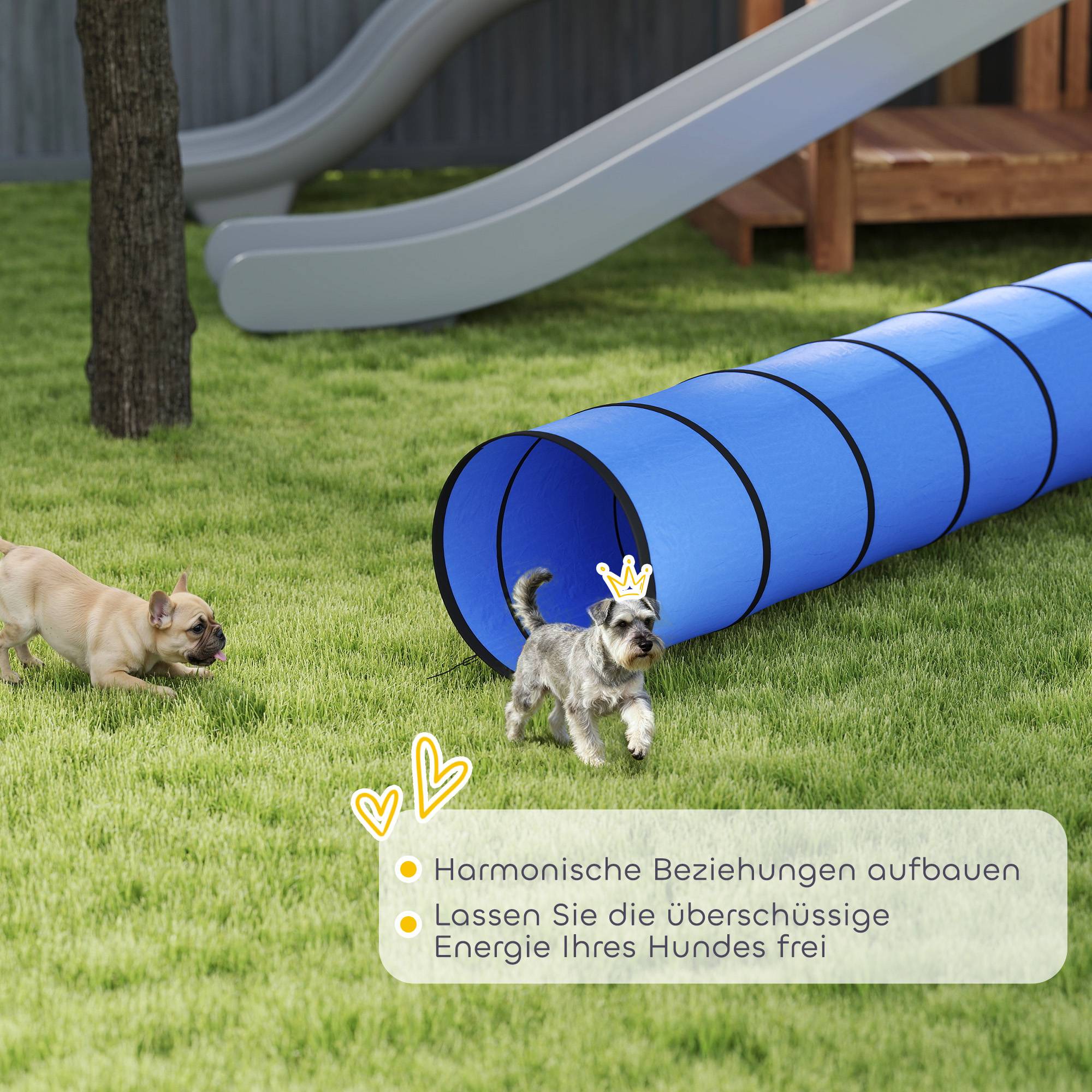 ComfortXL - Tunnel agilité chien en tissu Oxford 300 x 50 cm bleu avec 4 ancrages au sol - ComfortXL Outdoor Living - Image 9