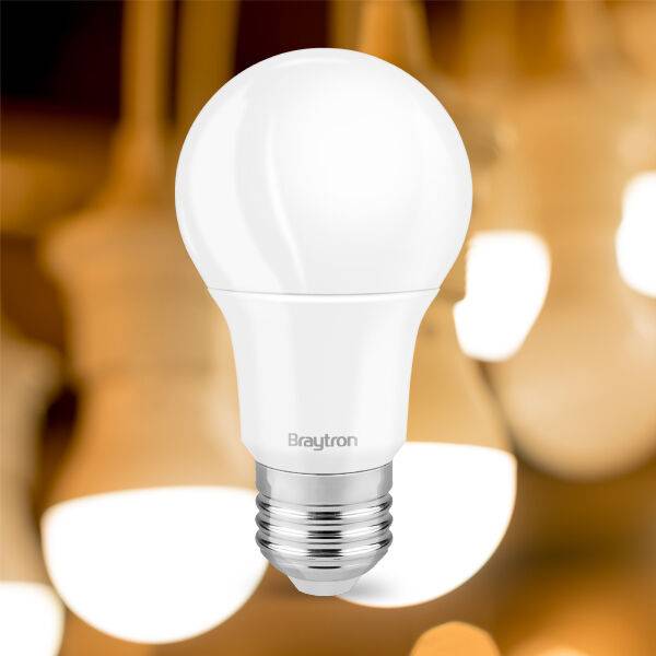 Ampoule LED Advance E27 11W A60 - 3000K, 1055 lm, Équivalent 75W - Image 2