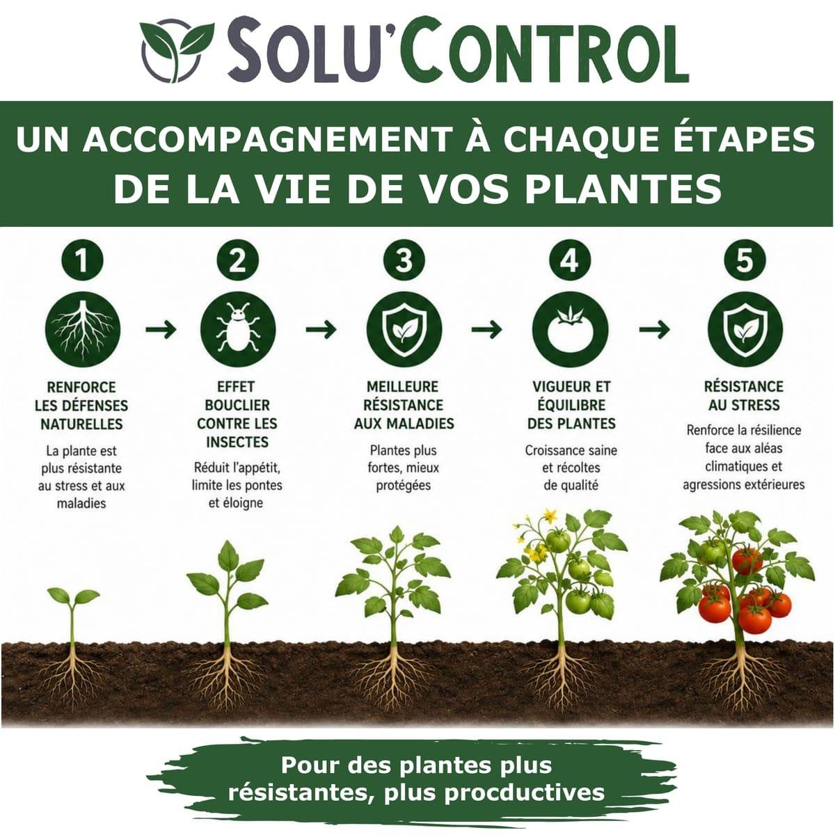 Tout pour les nuisibles - Biostimulant Concentré à l'Extrait d'Ail, d'Ortie et de Plantes Solu'Control Vége'Défense – 5 litres – Renforce les Défenses Naturelles des Plantes - Image 2
