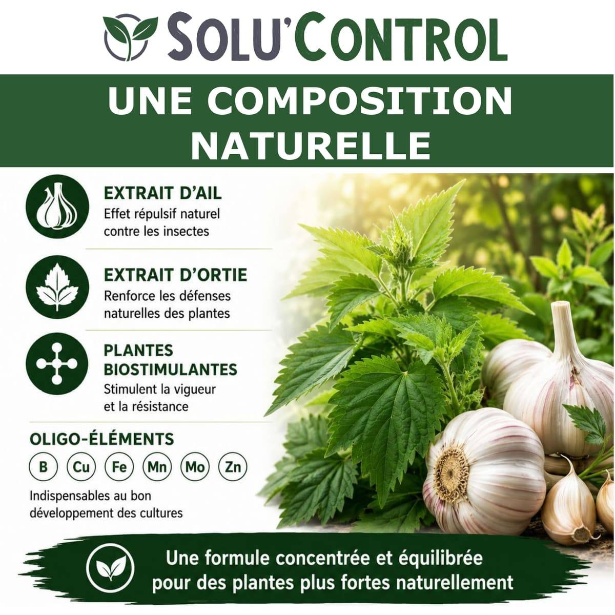 Tout pour les nuisibles - Biostimulant Concentré à l'Extrait d'Ail, d'Ortie et de Plantes Solu'Control Vége'Défense – 5 litres – Renforce les Défenses Naturelles des Plantes - Image 6