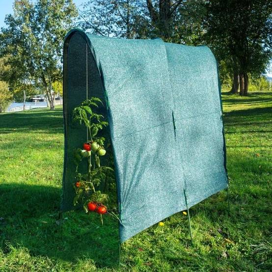 Serre à tomates spécial ombrage 2 x 3.5m - Image 2