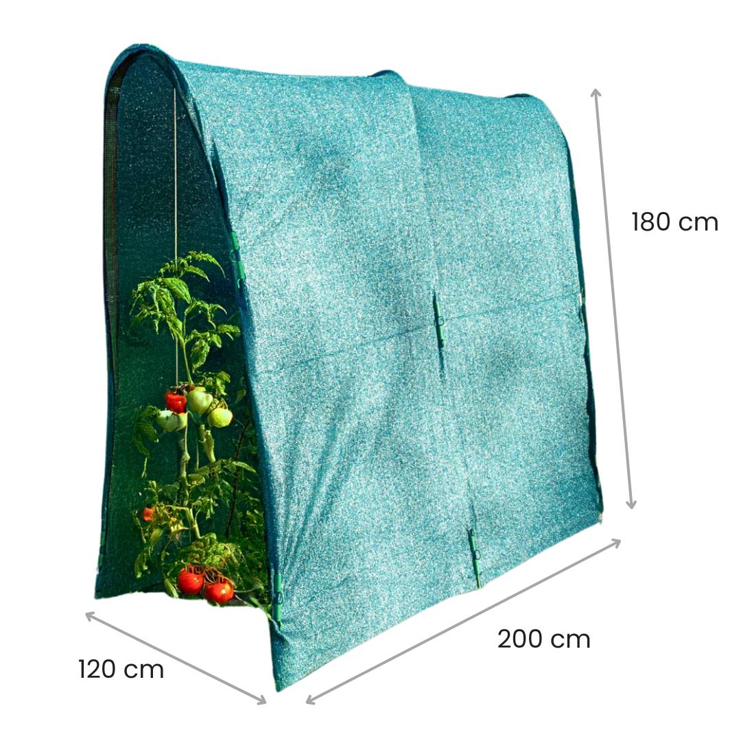 Serre à tomates spécial ombrage 2 x 3.5m - Image 3