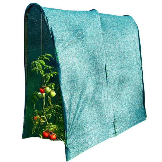 Serre à tomates spécial ombrage 2 x 3.5m - Image 1