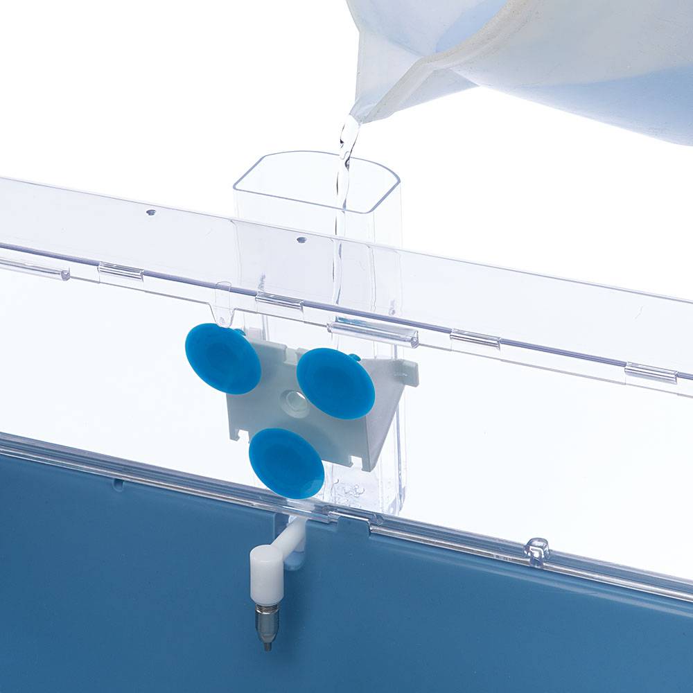 Ferplast - Ferplast Abreuvoir pour cochons d'inde et rats SIPPY 4674 MEDIUM, Bouteille d'eau distributeur pour rongeurs Capacité 300 cc, Système de fixation sur - Image 6