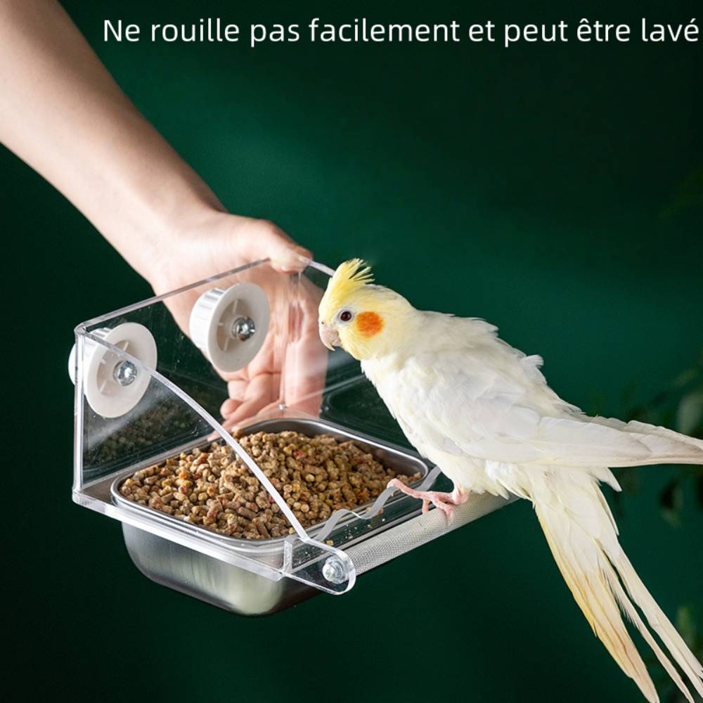 Mangeoire à oiseaux - IntiMeg - IntiMeg - Image 4