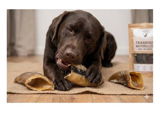 Lot de Friandises chien Nature Sabot de vache - Image 2