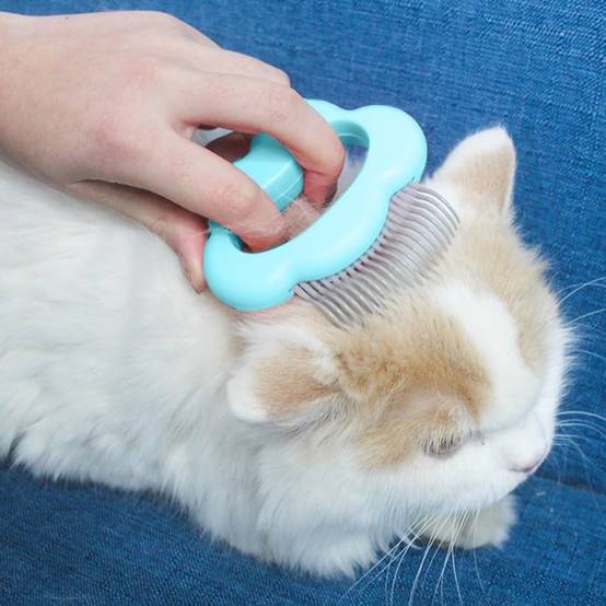 Outil de toilettage pour animaux - IntiMeg - Image 3