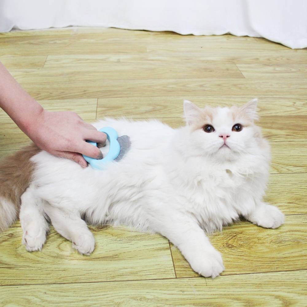 Outil de toilettage pour animaux - IntiMeg - Image 5