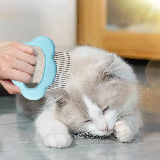 Outil de toilettage pour animaux - IntiMeg - Image 2