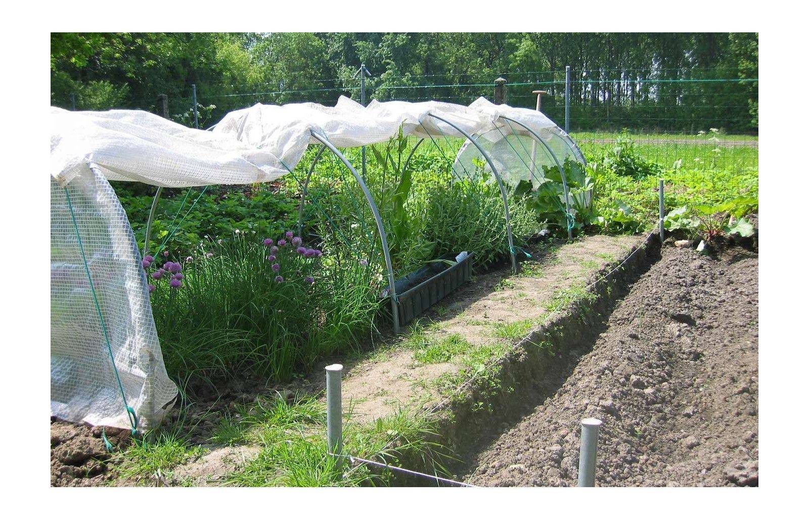 Serre de jardin tunnel de forçage 10m de long - serre à semis - LES SERRES TONNEAU - Image 8