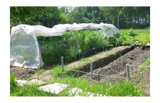 Serre de jardin tunnel de forçage 10m de long - serre à semis - LES SERRES TONNEAU - Image 9