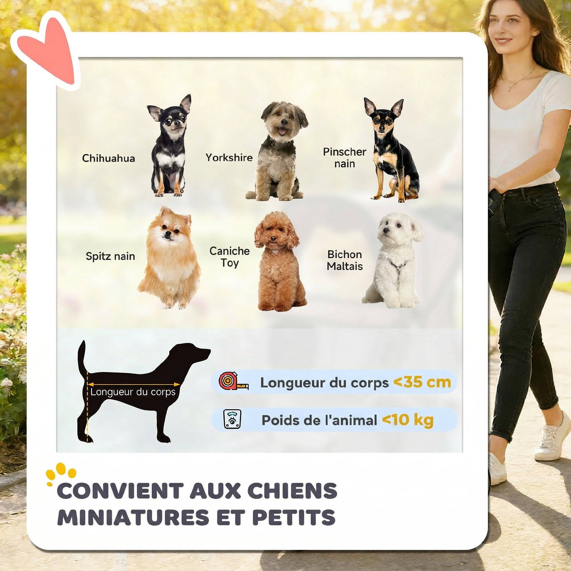 Poussette pour Chien 4 Roues, Chariot Pliable avec Auvent Réglable, Panier de Rangement, 77x44x102cm, Café - Image 6