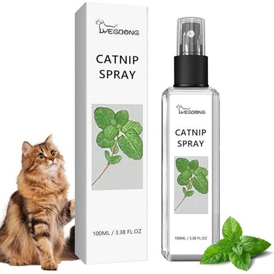 Spray Herbe à Chat 100ML - Image 1