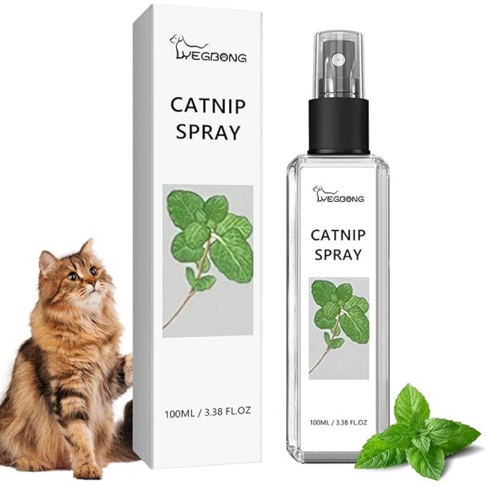 DtopbuyAge - Spray Herbe à Chat 100ML
