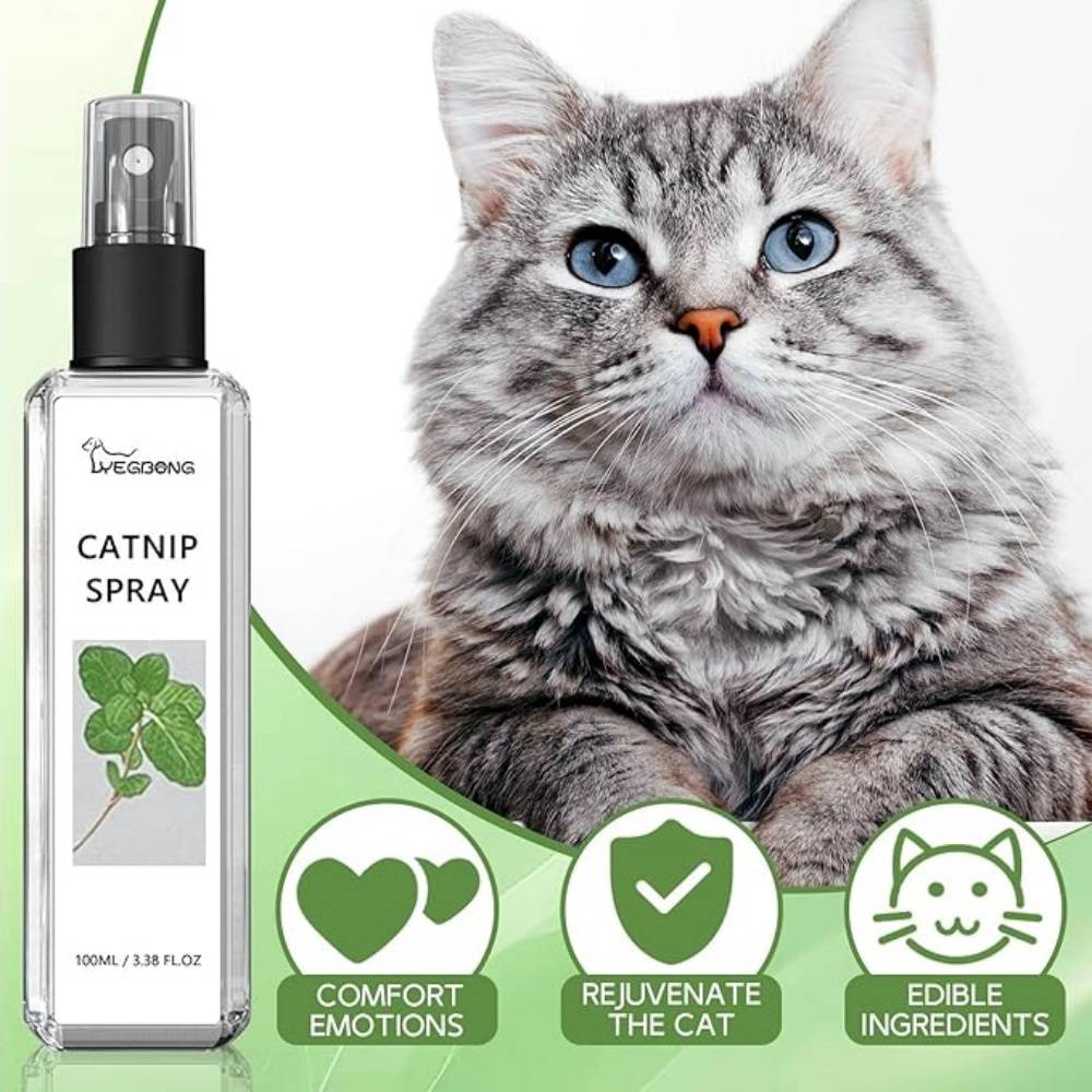 Spray Herbe à Chat 100ML - Image 3
