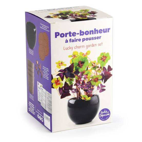Radis et Capucine - Radis et Capucine - Kit trèfle porte bonheur - Image 1