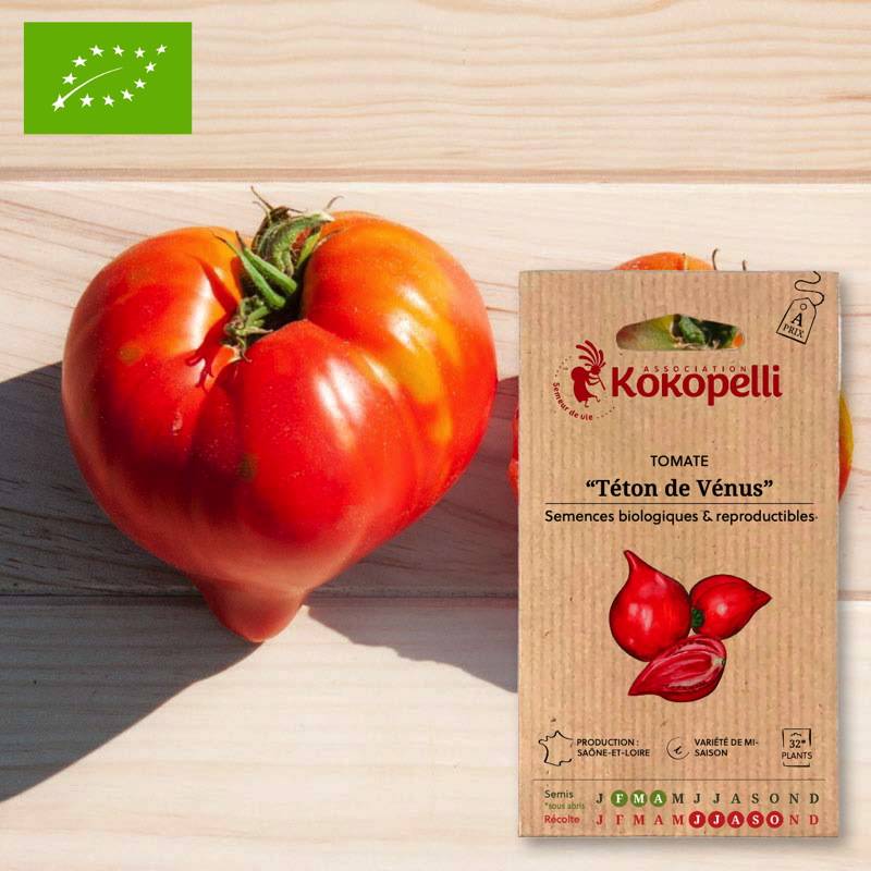 Tomate Rouge Mi-Saison Téton de Vénus- Graines bio à semer - Image 1